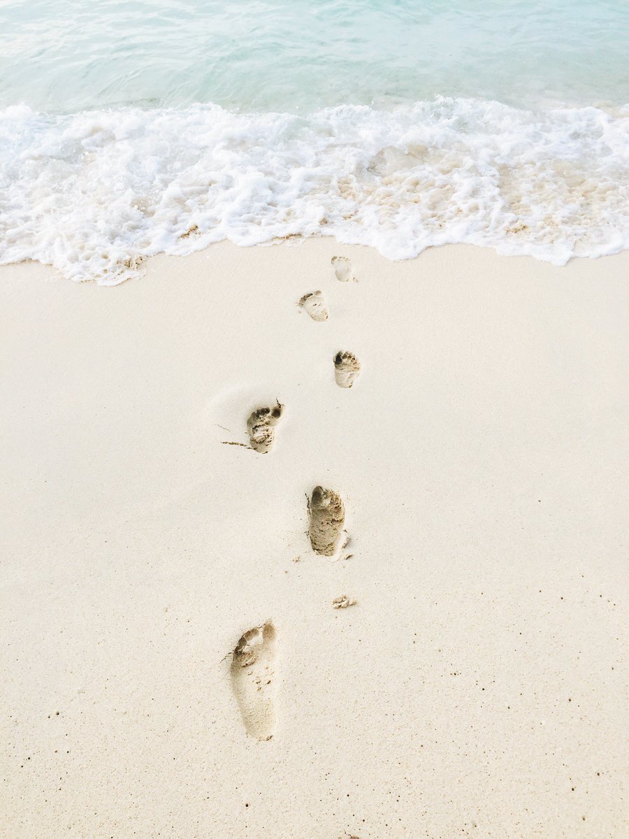 The_Exploress's tweet photo. Have you ever traveled solo? Are you thinking about it? Don't miss our latest post
https://t.co/qTYWG2z730 #travel https://t.co/5Tg1U7W7X4