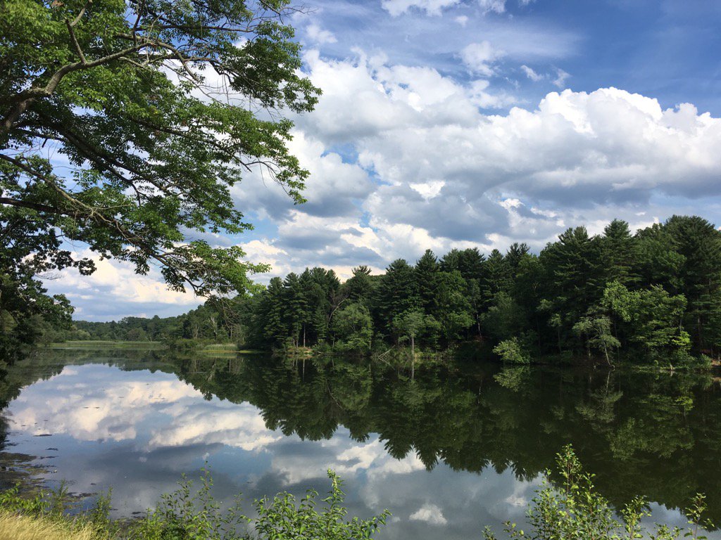 Forest Park in #SpringfieldMa is spectacular today.