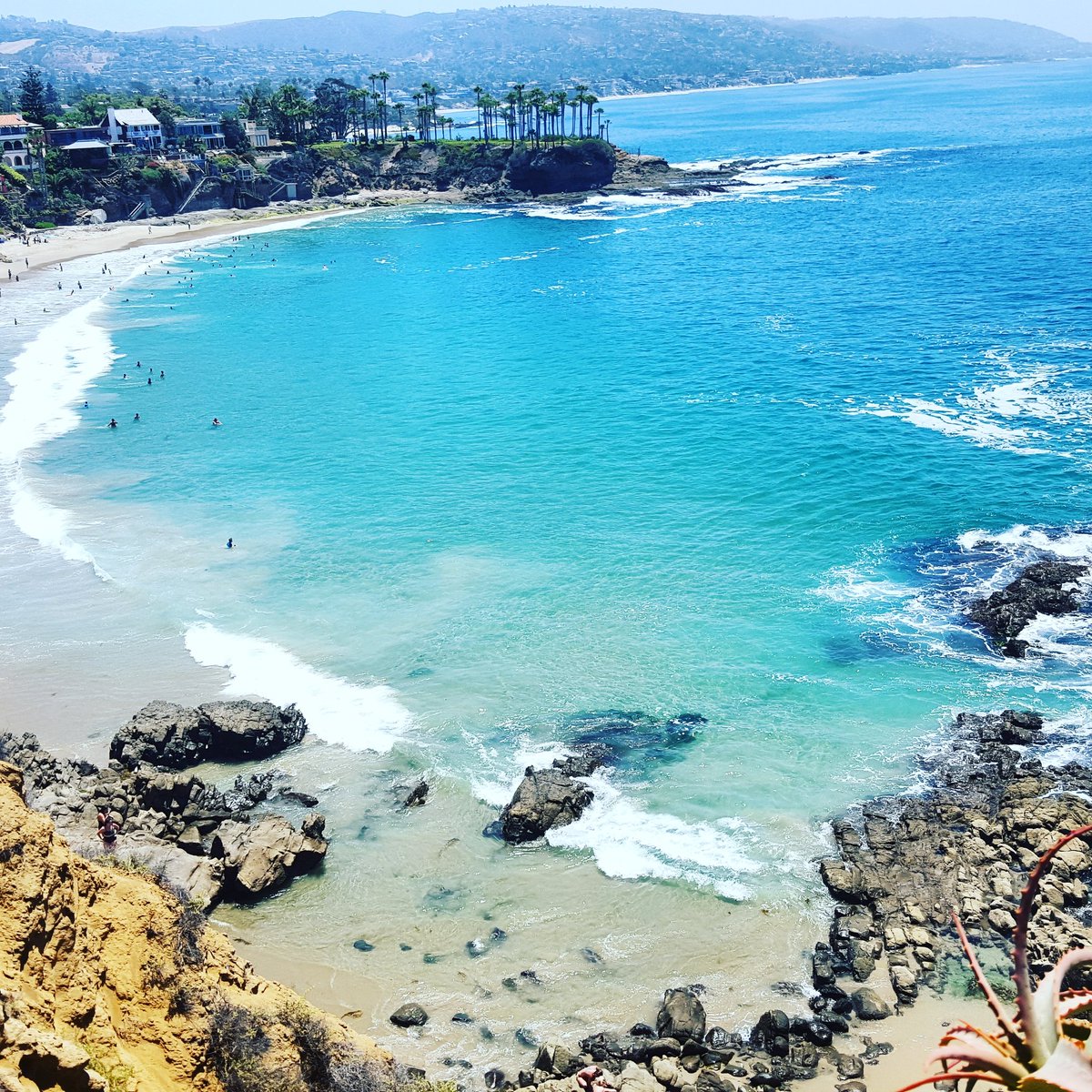 konachef808's tweet photo. Summertime laguna https://t.co/ck6hvFiu1N