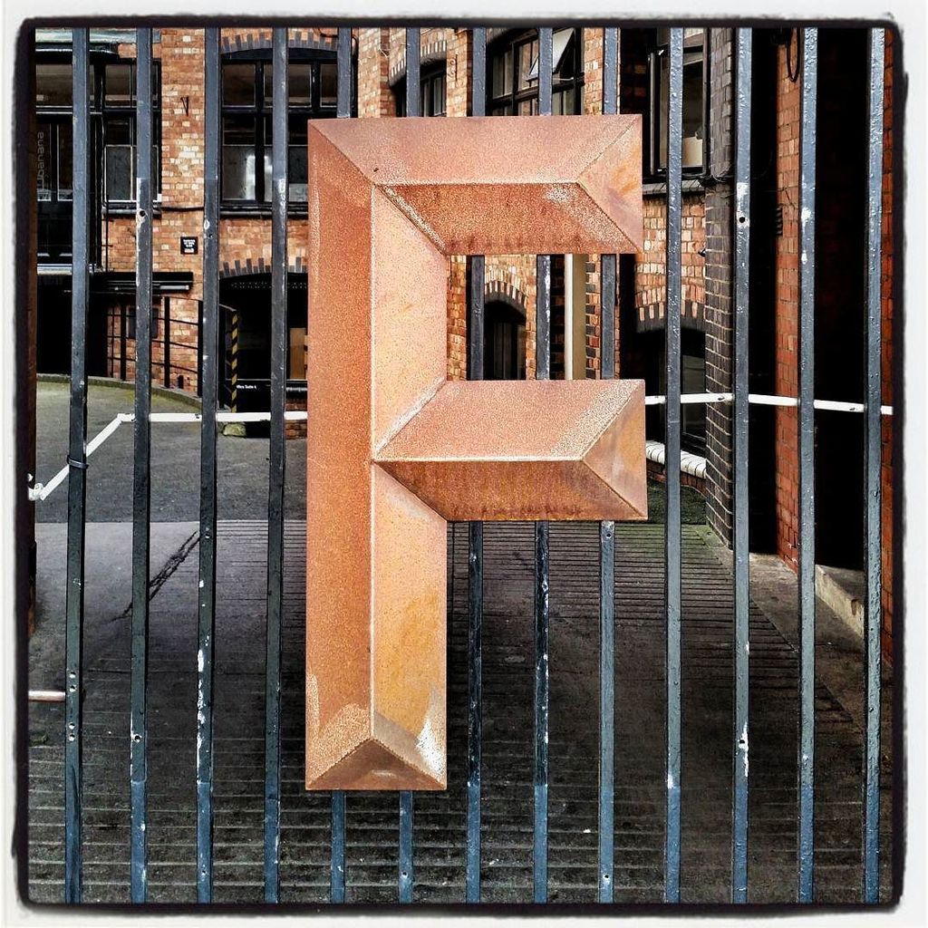 PhotoGlow's tweet image. F is for Forget-me-not #FineFlowers ift.tt/29PeDUl