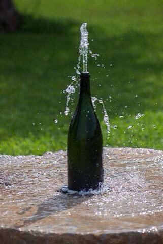 #Nebbiolo is from Piemonte, Italy

First nebbiolo #wine is dated 1266 
🎂 it is 750 years old!🍷