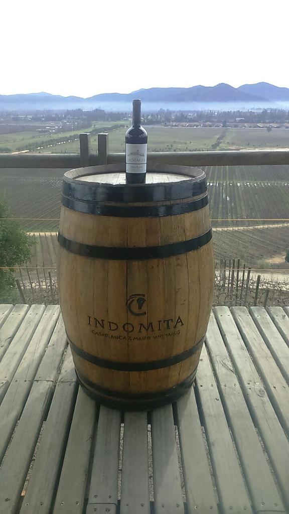 Visita a <a href="/Vina_Indomita/">Viña Indomita</a> con estudiantes de Ecela #ViñadeMar