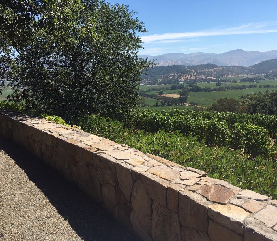 Rosetta Wines tweet media