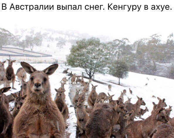 Пока в мире теракты и госперевороты...