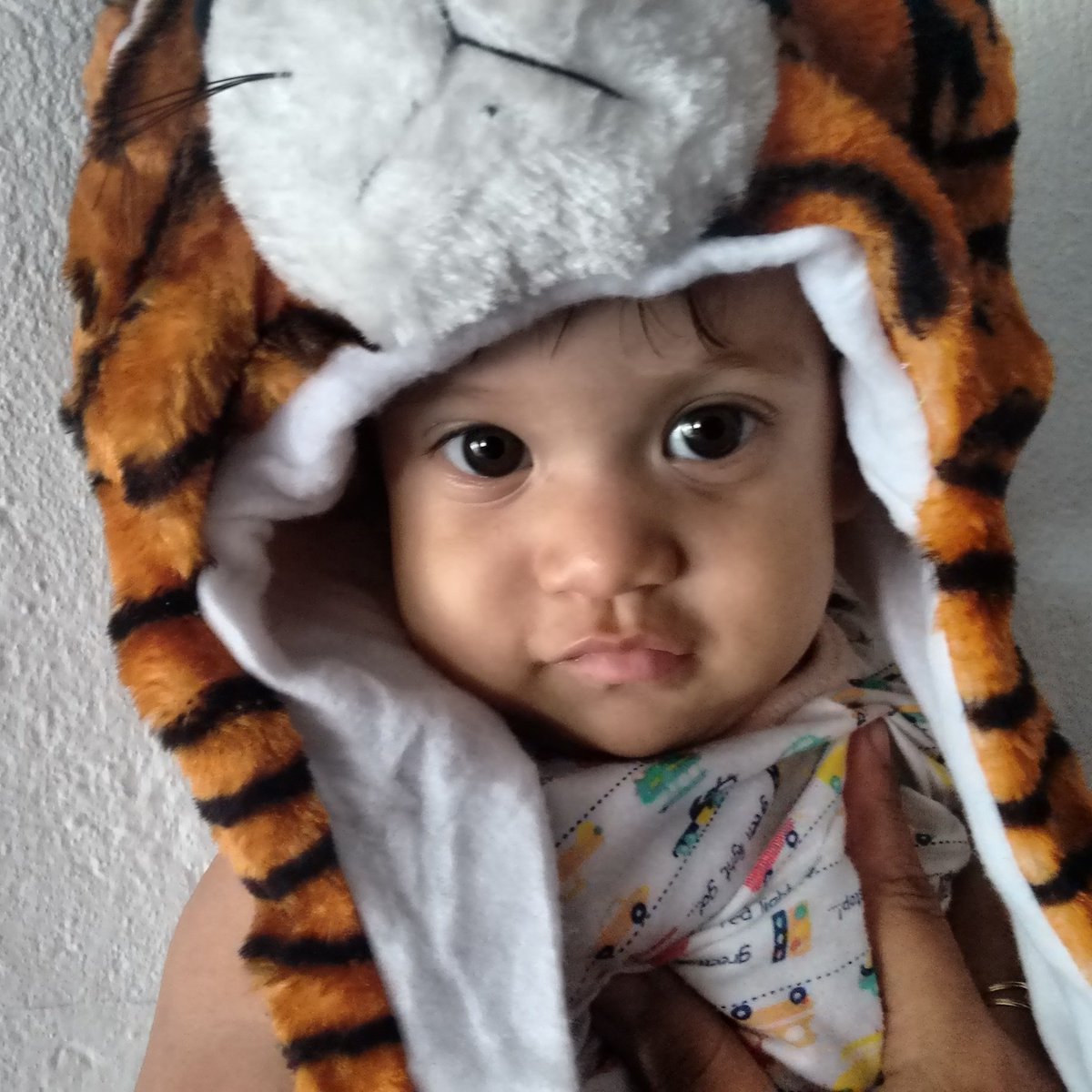 Alcalo1's tweet photo. Mi #sobrino, la alegría de la casa, mi chiquito lindo😘😘😘😘😘 https://t.co/rxvz36mkw0