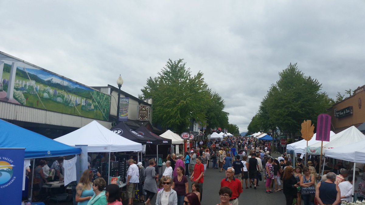 cvgovreview's tweet photo. Looks like the #DowntownCourtenay market day is a success! 

#AddYourVoice #GovReview @cxvalleychamber https://t.co/3XVHfdV9l4