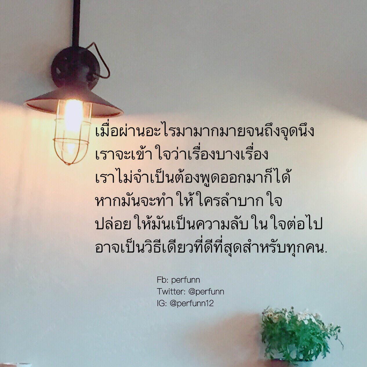 My Image 43