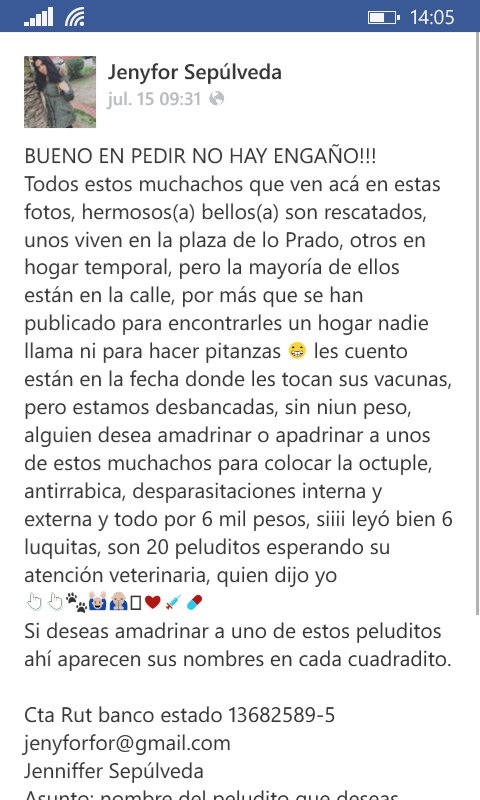 Chilena9772's tweet photo. Se buscan #Padrinos o #Madrinas para estos perris Ayuda para sus vacunas o alguien quiere adoptar algun@. #Stgo RT https://t.co/GrdP8JZjVw