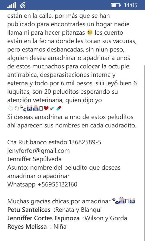 Chilena9772's tweet photo. Se buscan #Padrinos o #Madrinas para estos perris Ayuda para sus vacunas o alguien quiere adoptar algun@. #Stgo RT https://t.co/GrdP8JZjVw