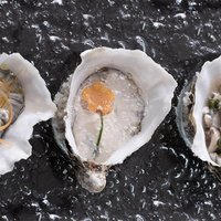 Productos gourmet que deberías comprar en tu próximo viaje a Francia buff.ly/29zPm0x