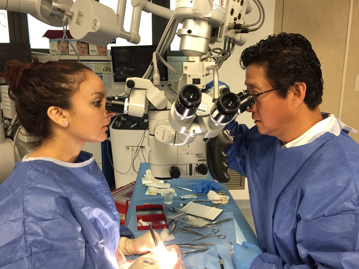 drdavidsong's tweet photo. @DeanaMD showing ideal posture during #Microsurgery #PlasticSurgery https://t.co/eBYIEDoaiF
