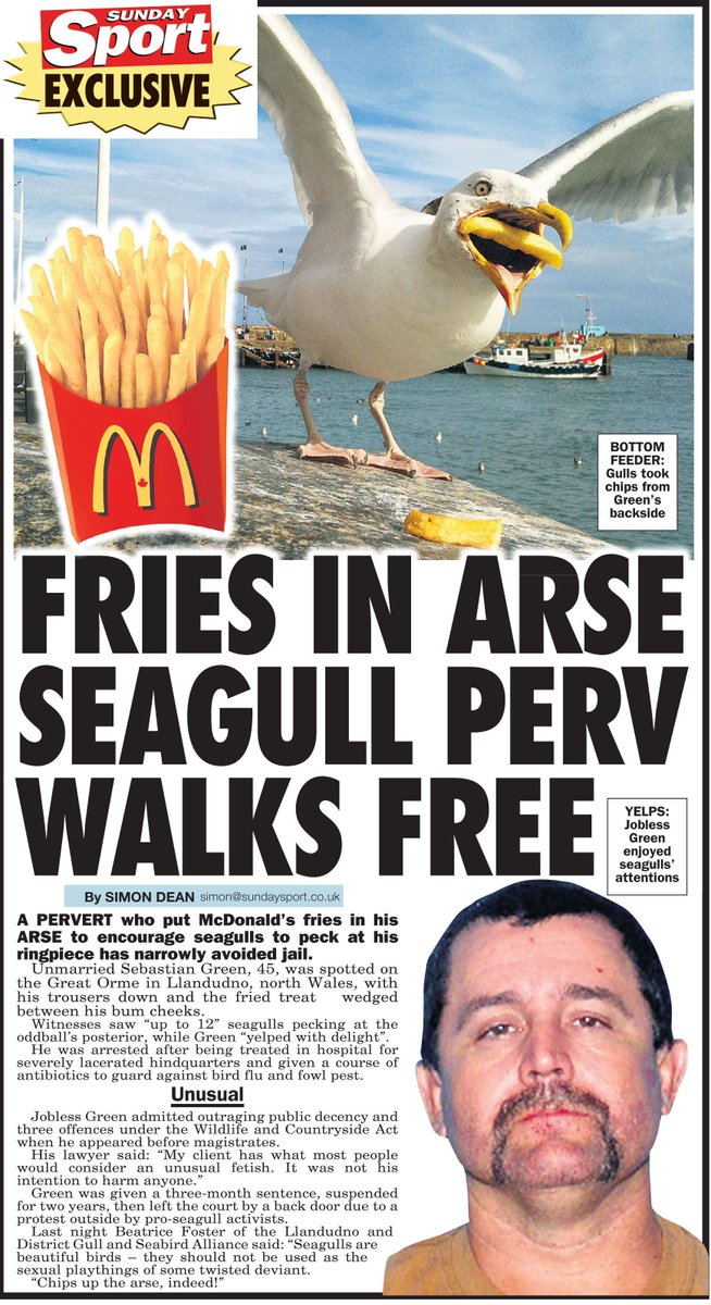 thesundaysport's tweet image. Chips-in-arse seagull perv walks free. Damning indictment of our legal system in tomorrow's @thesundaysport