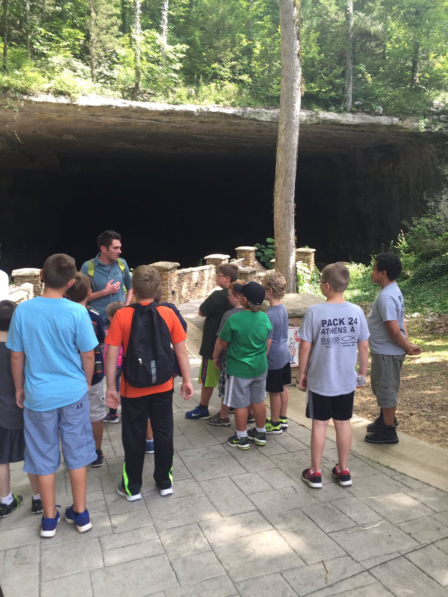 DianeTrout81's tweet photo. Great morning exploring Cathedral Caverns #ALparks #CubScouts https://t.co/W6AAywvT2G