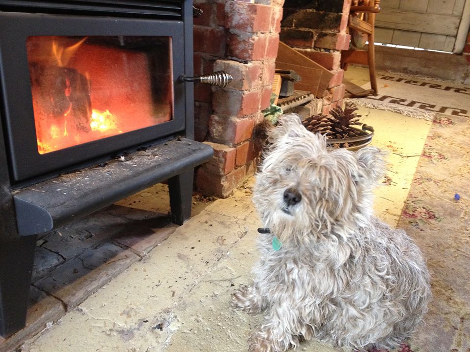 OtwayEscapes's tweet photo. "From Where You'd Rather Be" #winterescape #theotways #openfire https://t.co/uWk0eOveEy