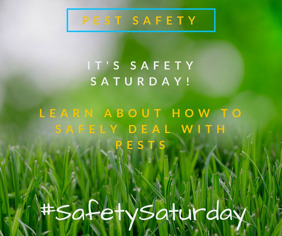 a1ablepestdoc's tweet image. It&apos;s #SafetySaturday - learn how to deal with pests safely! #staybugfree ow.ly/P8EQ302jHhf