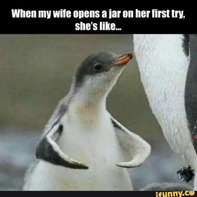 TrinityNightsh1's tweet photo. #yikyak #animals #opening 
https://t.co/hKmRY9Blud
#iFunny https://t.co/LJqqb9NAeY