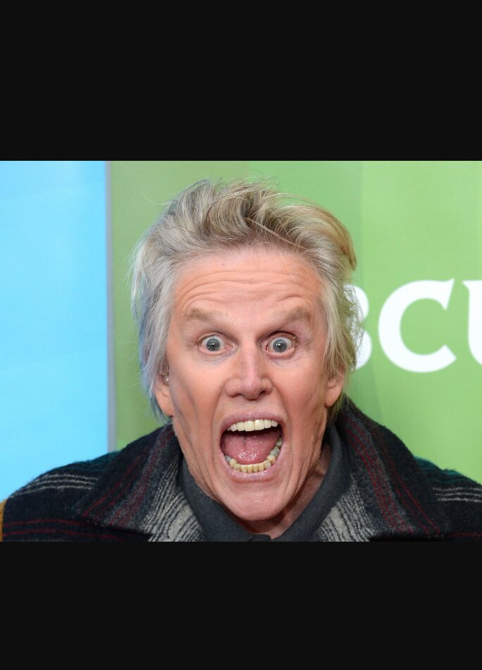 TheWWEReject's tweet image. #BizarreTalkShowHosts The Gary Busey Hour #HowIsThisNotAThing