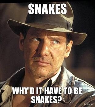 cmbrookins's tweet image. May you find dozens of snakes or absolutely none, whichever you prefer. #noneforme  #WorldSnakeDay