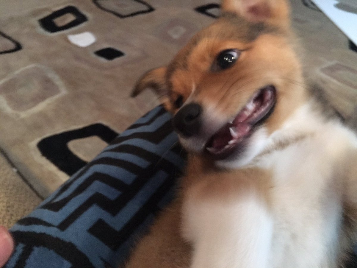 RickyPDillon's tweet image. 