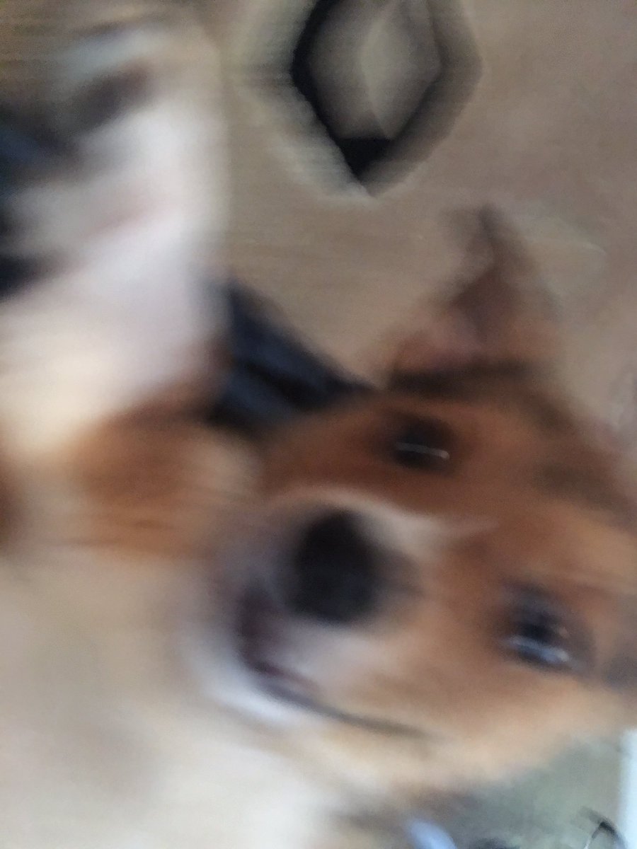 RickyPDillon's tweet image. 