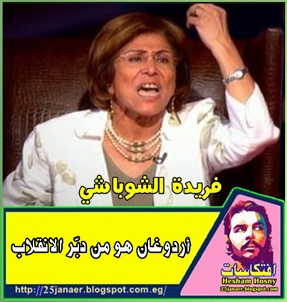 فريدة الشوباشي: أردوغان هو من دبّر الانقلاب