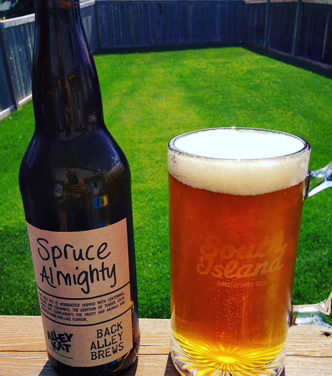 SouthIslandPie's tweet photo. Cheers guys! Thanks to you all that stopped by at the @CityMarket104 #thankyou @alley_kat_beer #sprucealmighty https://t.co/vtlNp74fET