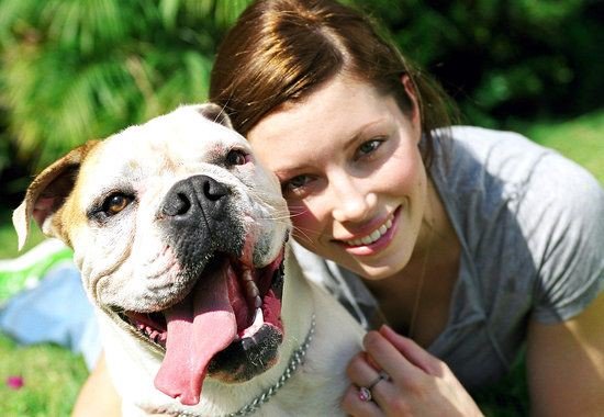 BulliePost's tweet image. You can tell a good person by the company they keep, these 10 celebs are a-ok in my book! - bit.ly/29EN6lg