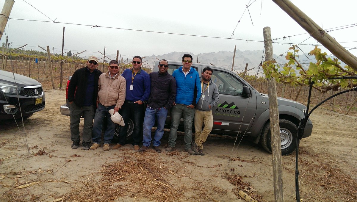 wilbert12mx's tweet photo. Día de campo (asesoramiento e intercambio) de Atlántica Agrícola con Ingenieros productores de Uva de Mesa en Perú. https://t.co/SmF1sOffEn