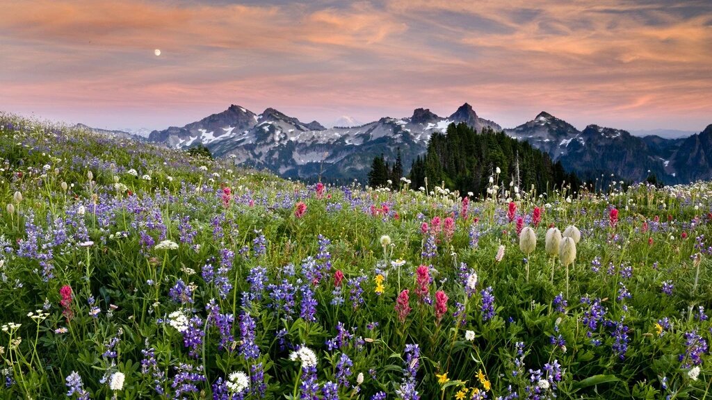 <a href="/ptbrazil/">Professora</a> <a href="/myworksheets/">MyEnglishWorksheets</a> <a href="/inglesdiadema/">Teacher</a> <a href="/zailda/">Zailda Coirano</a> <a href="/sahsarinhah/">Sarah Cristina</a> <a href="/zaildacoirano/">Zailda Coirano</a> <a href="/caperucita171/">Caperucita Roja</a> <a href="/enosms/">Enos Mendes</a> <a href="/Danieltlzz/">Daniel</a>