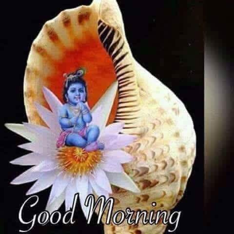 mtiwarioffice's tweet photo. GM🙏 @aamsr @NarsipKaur @frontiermail @SuperpariR @pragya_as @nsbchd @sanat397 @CM_P17 @YBISL @SodhiJin @greatairi https://t.co/b7ttYTgLsx