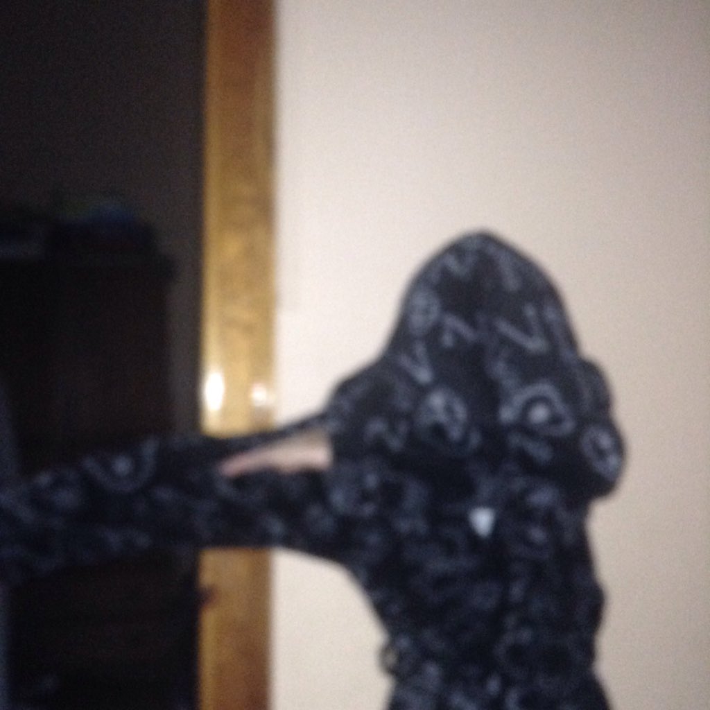 robertsaggee's tweet photo. The dab won't ever stop #dab https://t.co/HT4xL1lmRz