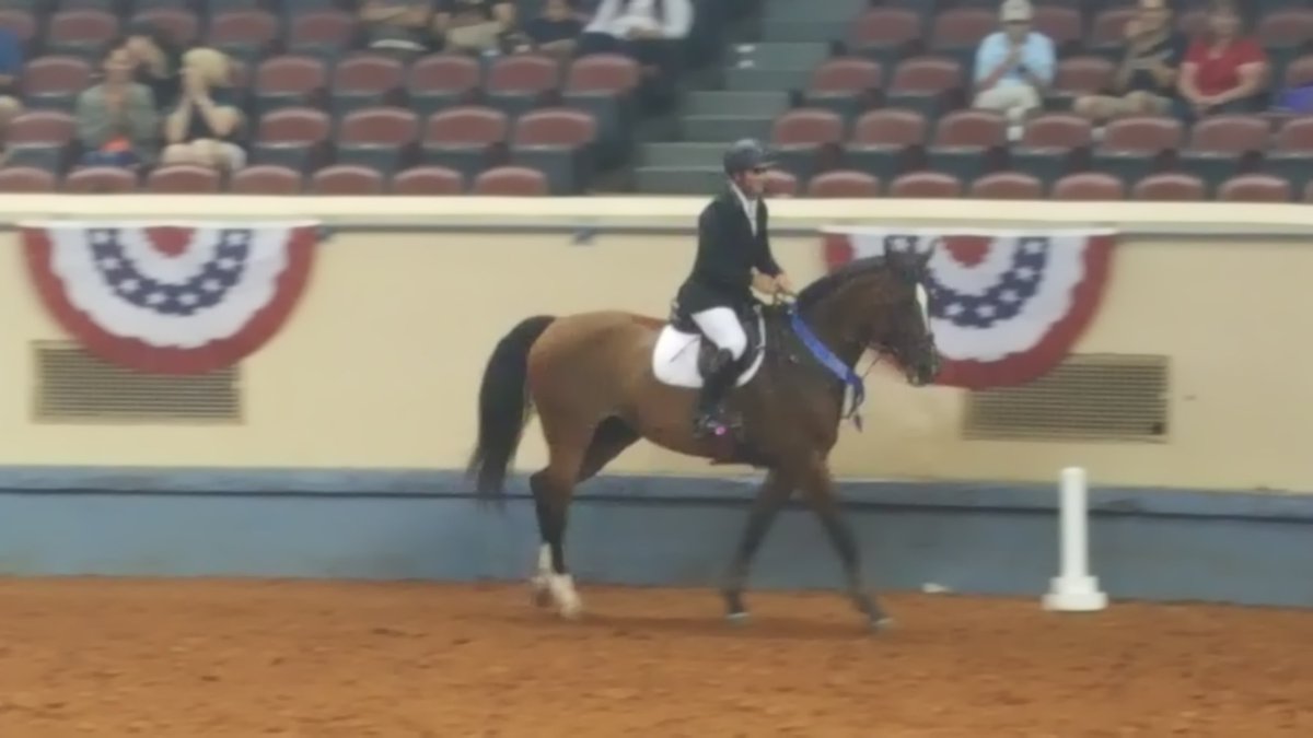 GOSHOWOKC's tweet photo. Congratulations toTrapp O'Neal and Vorione Fortuna! They won th GO Show $30,000.00 Grand Prix! https://t.co/KvDDXWypPQ