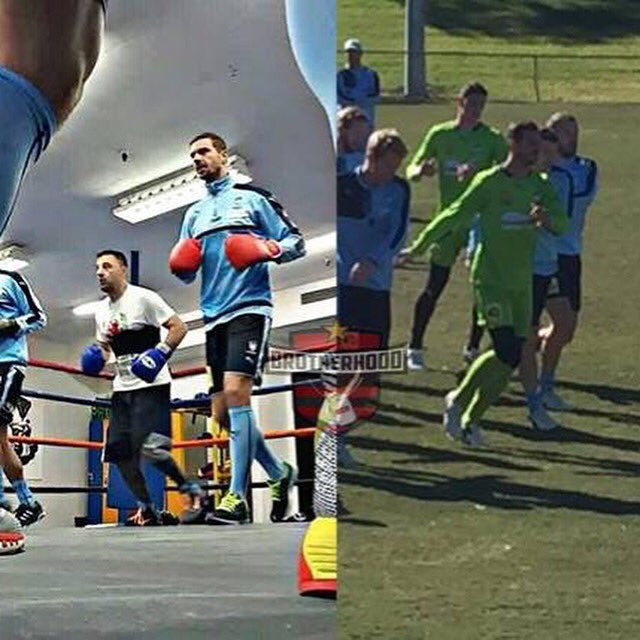 WSWBrotherhood's tweet photo. #CovicUpdate come and read my opinion piece on Ante Covic on trial at Sydney Fc here -> https://t.co/cEbCPfonUg https://t.co/l4DUx6Fkmi
