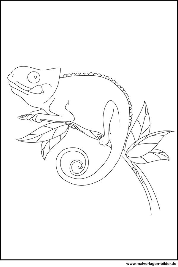 Chameleon Coloring Page Malvorlagen Tiere Ausmalbilder Tiere