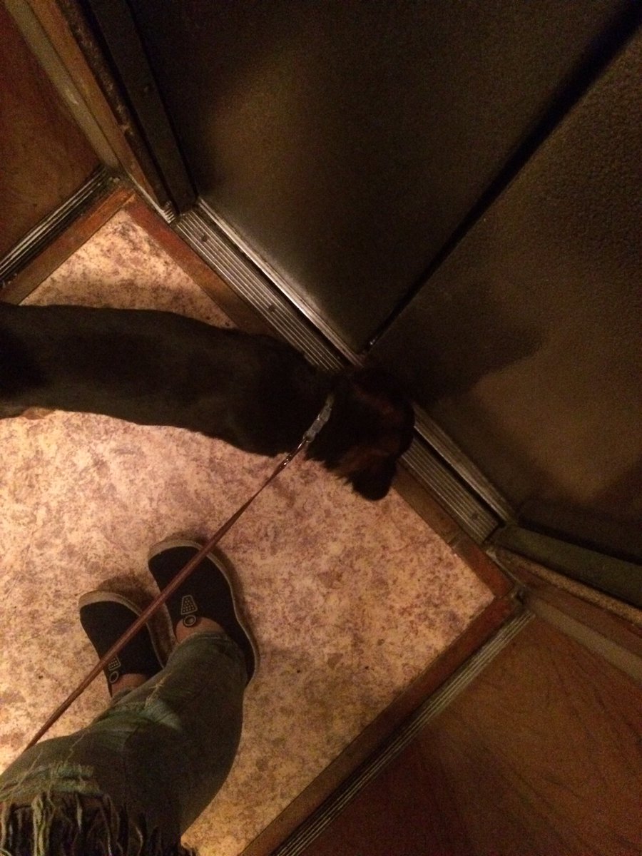 Sheva____'s tweet image. Утро вообще не начинается