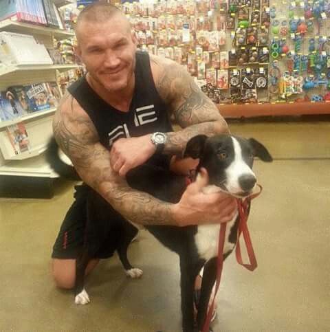 HarjotSamrai88's tweet photo. "Hey @RandyOrton, What's the dog name?", #RandyisGoodWithPets, #RKO #WorldChampion #TheViper #PetKeeper #WWEDogs https://t.co/ora0juFw9o