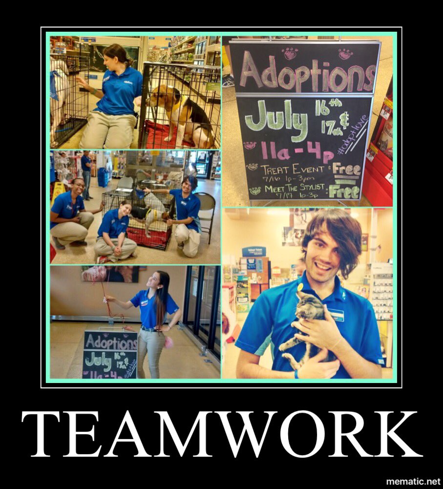 #adoptlove starts w/ #teamwork #thanks for a #weekend of #care <a href="/dmgelo/">Dave Gelo</a> <a href="/caroline_caron/">CC</a> <a href="/NiaToovirtuous/">Vania Hines</a>