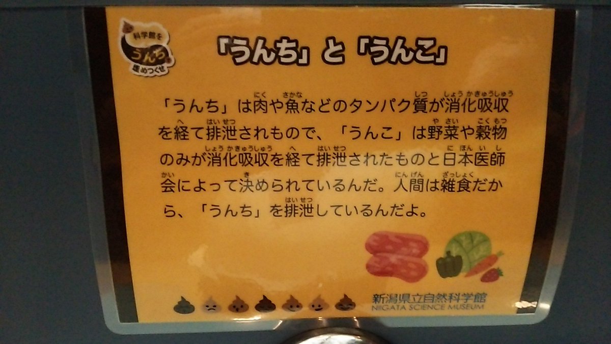 どう使い分けてる 日本医師会による うんち と うんこ の違いとは Togetter