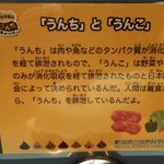 お食事中の方にはごめんなさい。「うんこ」と「うんち」に違いがあるって知っていますか？私は初めて知りました。