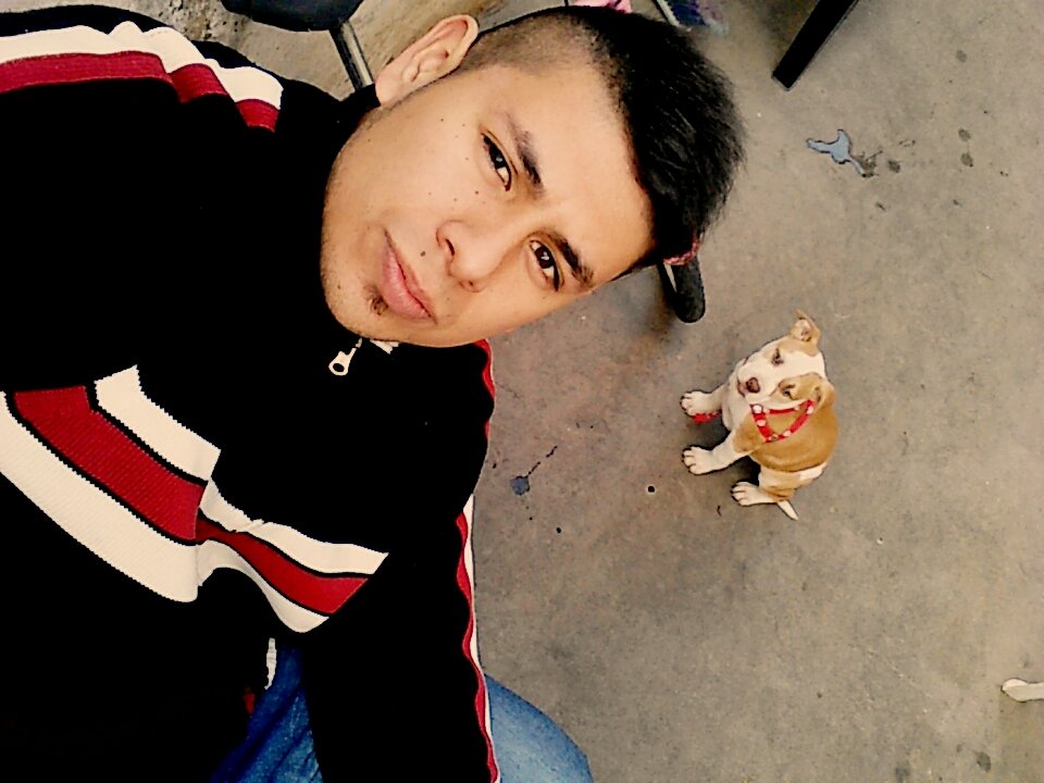FERCHA97_'s tweet photo. Bienvenida a casa!!! Cara de maloss https://t.co/Aem82mA2wf