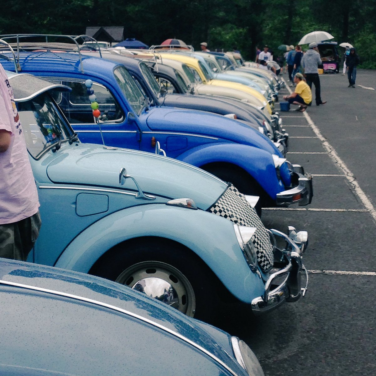 shin_nagaoka's tweet photo. 雨のピクニック。 #bugpicnic https://t.co/Nl7IaBHdP3