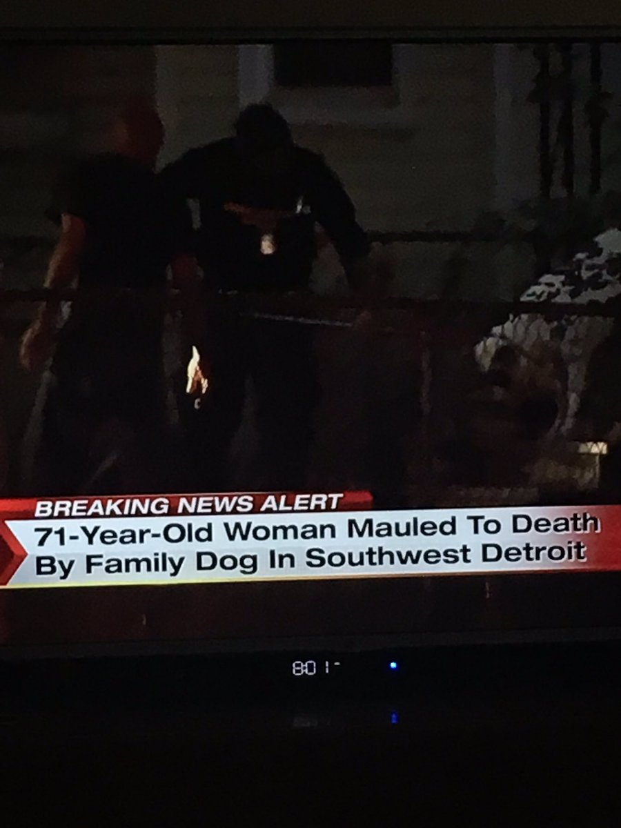 WholeWheats's tweet photo. Because that's the worst thing going on in Detroit right now. #noitsnot https://t.co/ViCZ881LEW