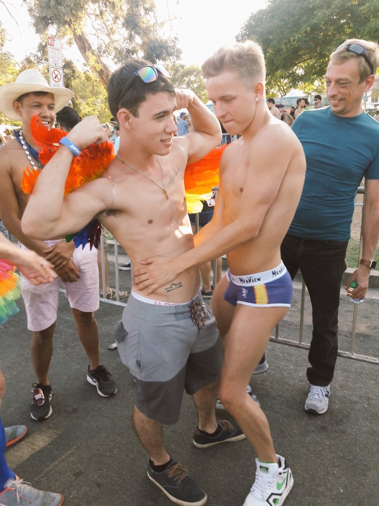 Im a gay meme Im a gay meme