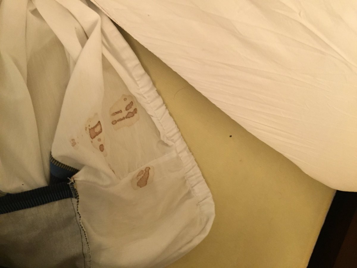 Stayed <a href="/CrownePlaza/">Crowne Plaza Hotels & Resorts by IHG</a> Times Square w family and my boys woke up w bites and we found this under the bed