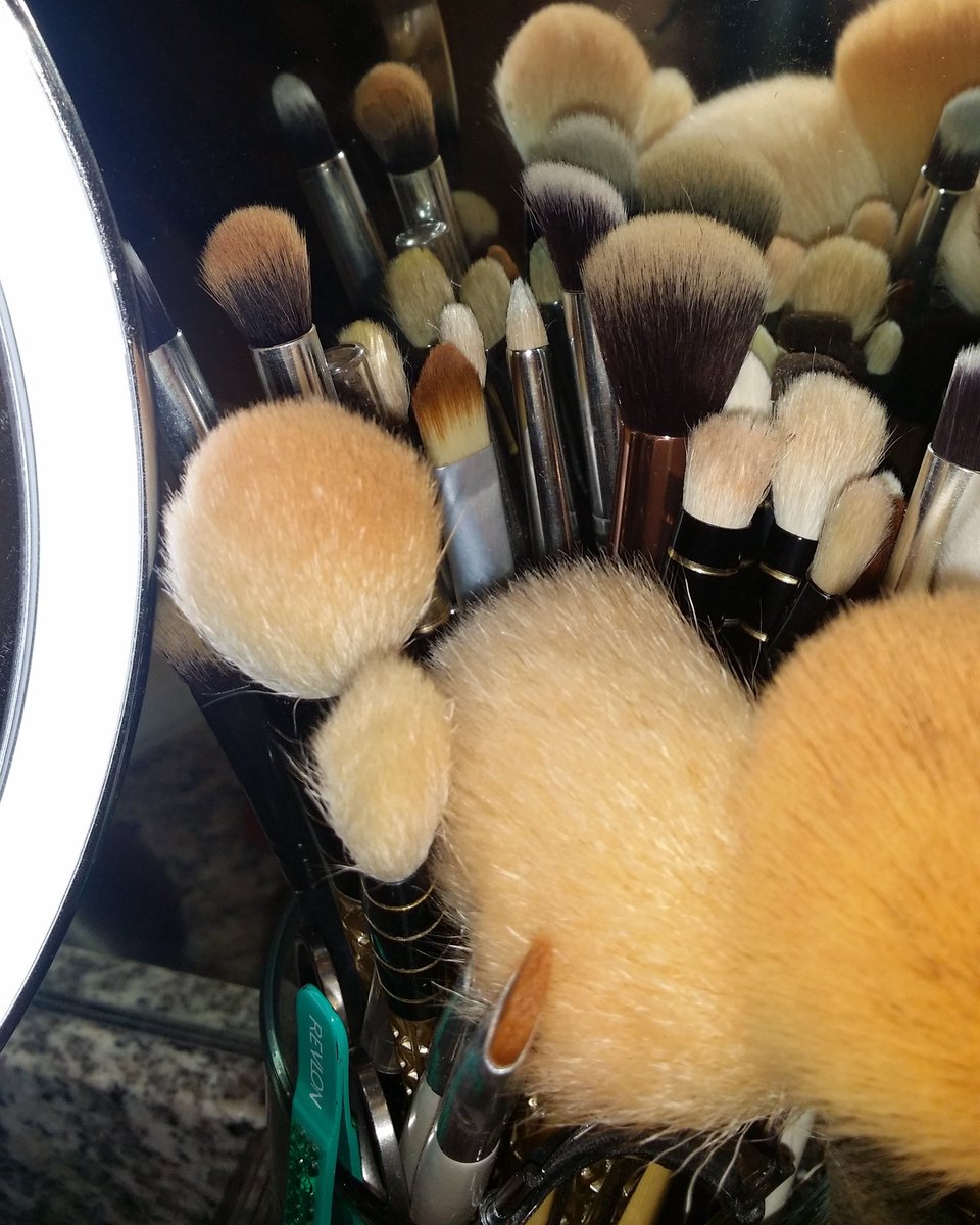 beautyuntamed28's tweet photo. Life.. Brush heaven #elfcosmetics #maccosmetics #morphybrushes #soniakashuk https://t.co/uVwo0lAIGB