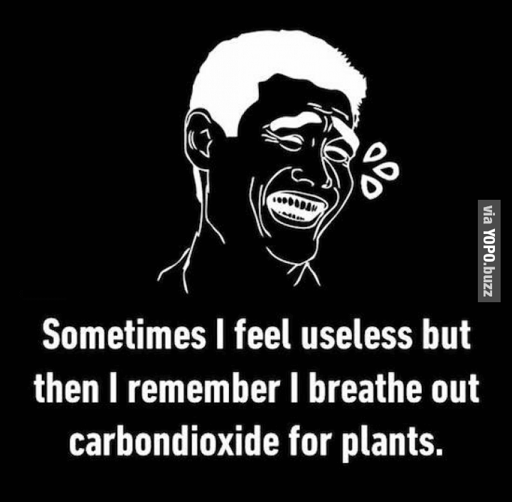 YOPObuzz's tweet photo. Lol..
.
.
.
Download YOPO for more >> https://t.co/1N3tbhCkGF https://t.co/piNIDbNkQS https://t.co/jBtjt8crqB