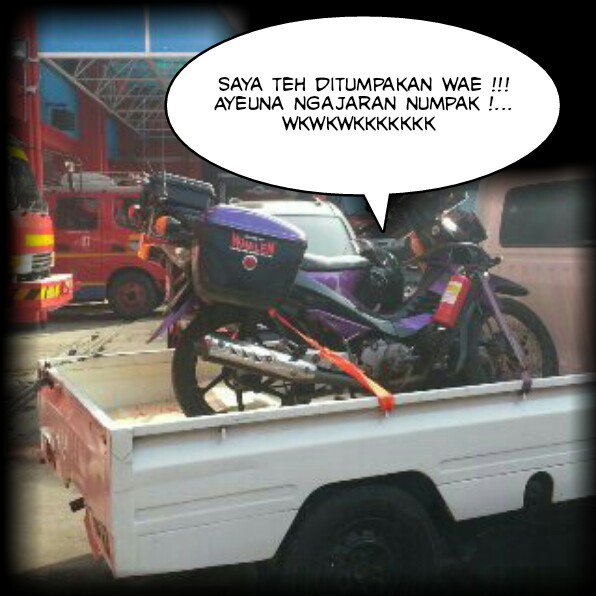 C unyu pengen numpak, ulah ditumpakan wae cenah. <a href="/KomboBDG/">Kombo Bandung</a> <a href="/KomboBogor/">KOMBO BOGOR</a>