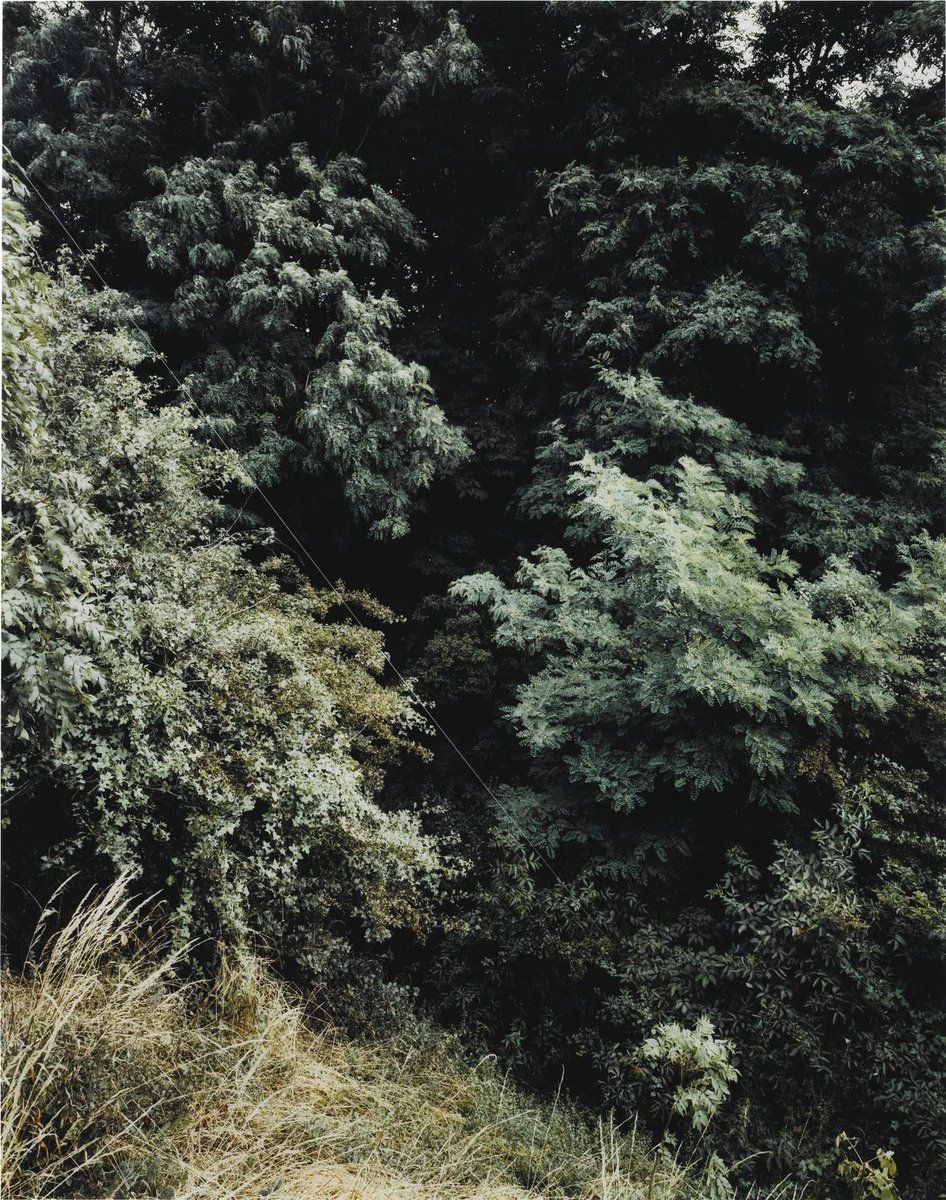 KREFELD, 49×58in, Sold for $60,309 USD #andreasgursky auctionclub.com/public/histori…