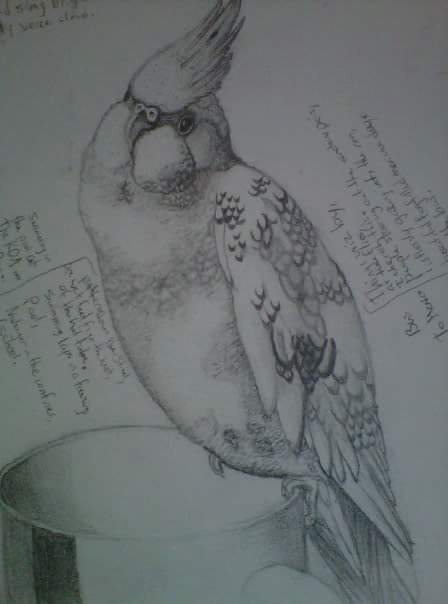 DocterPepper007's tweet photo. #MONALISA
#BADBLOOD
#YOL8
This is my little bird Riley, bae @justinbieber @DocterPepper007. ❤ https://t.co/ObcZPxqEJP