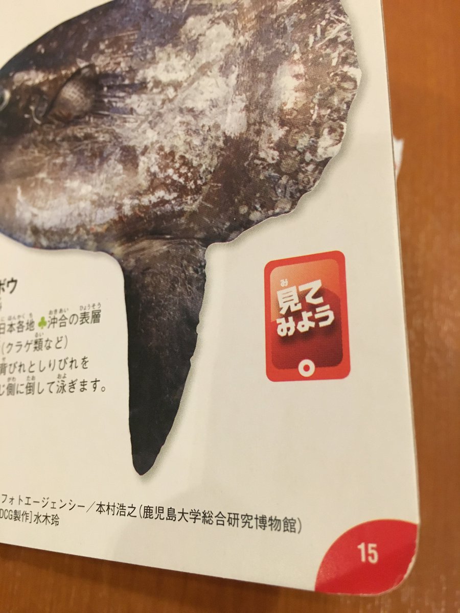 学研の絵本 はっけんずかん 鉄道 発売中 En Twitter 学研の図鑑ｌｉｖｅ ポータブル版 魚 ページにある 見てみよう を専用のアプリで撮影するとarでリアルな魚が出現